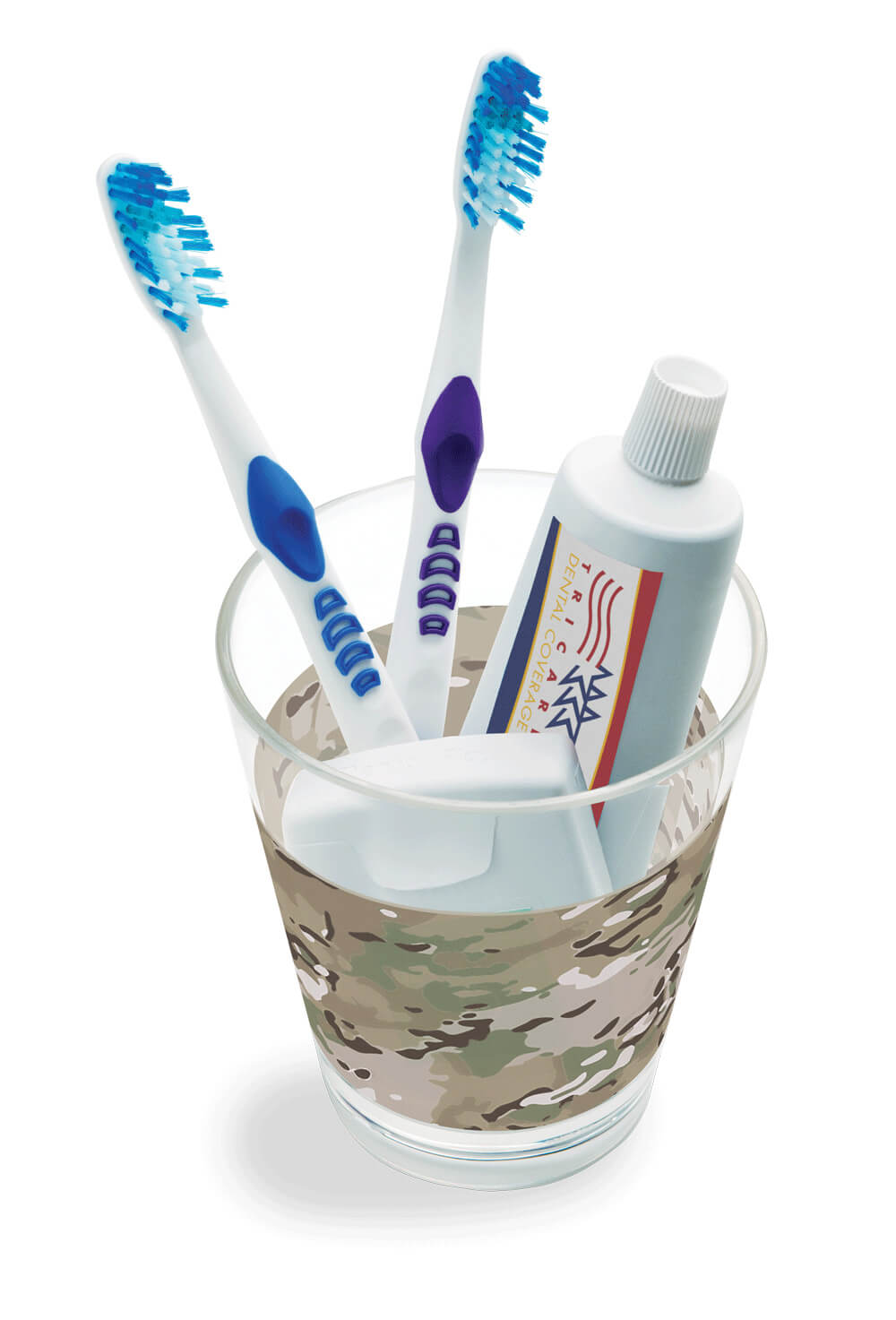 Get Orally Fit with TRICARE Dental CitizenSoldier